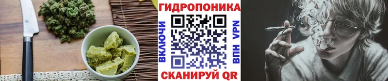 Canna-Cookies конопля Сураж