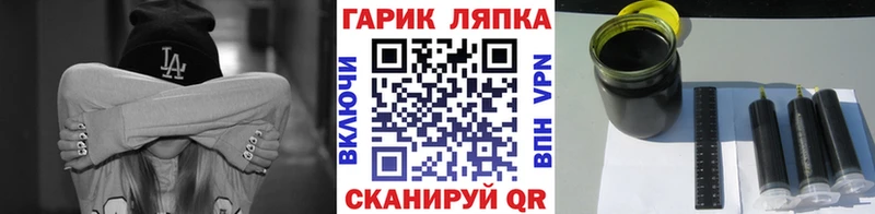 ГАШ гарик Сураж