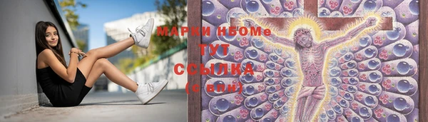 ПСИЛОЦИБИНОВЫЕ ГРИБЫ Баксан