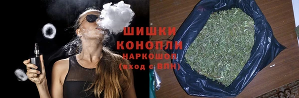 ПСИЛОЦИБИНОВЫЕ ГРИБЫ Баксан