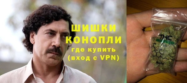 ПСИЛОЦИБИНОВЫЕ ГРИБЫ Баксан