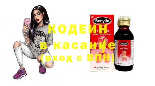 индика Балахна