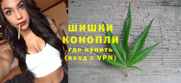 ПСИЛОЦИБИНОВЫЕ ГРИБЫ Баксан
