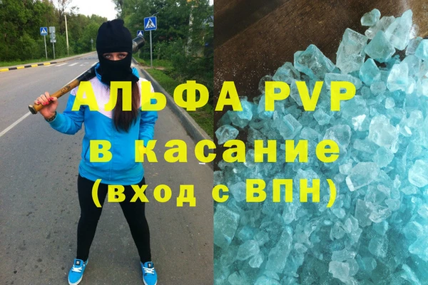 индика Балахна