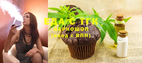 индика Балахна