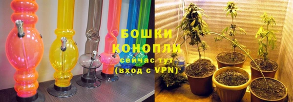 ПСИЛОЦИБИНОВЫЕ ГРИБЫ Баксан