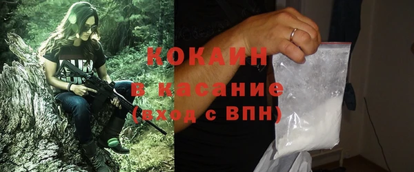 индика Балахна