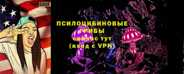 ПСИЛОЦИБИНОВЫЕ ГРИБЫ Баксан