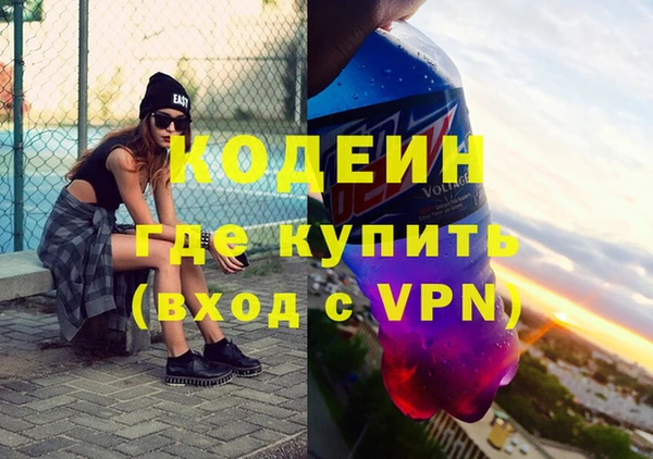 индика Балахна
