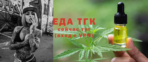 индика Балахна