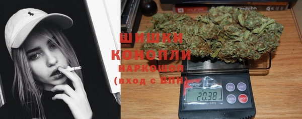 индика Балахна