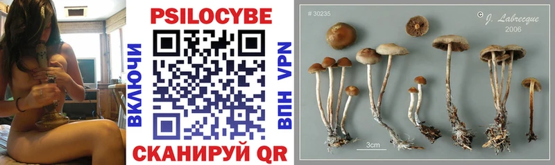 Галлюциногенные грибы Magic Shrooms  Сураж 